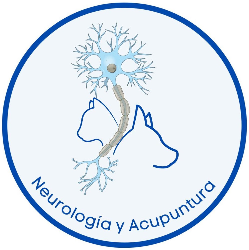 veterinario neurologo neurologia acupuntura gatos perros