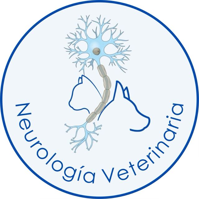 veterinario neurologo neurologia acupuntura gatos perros