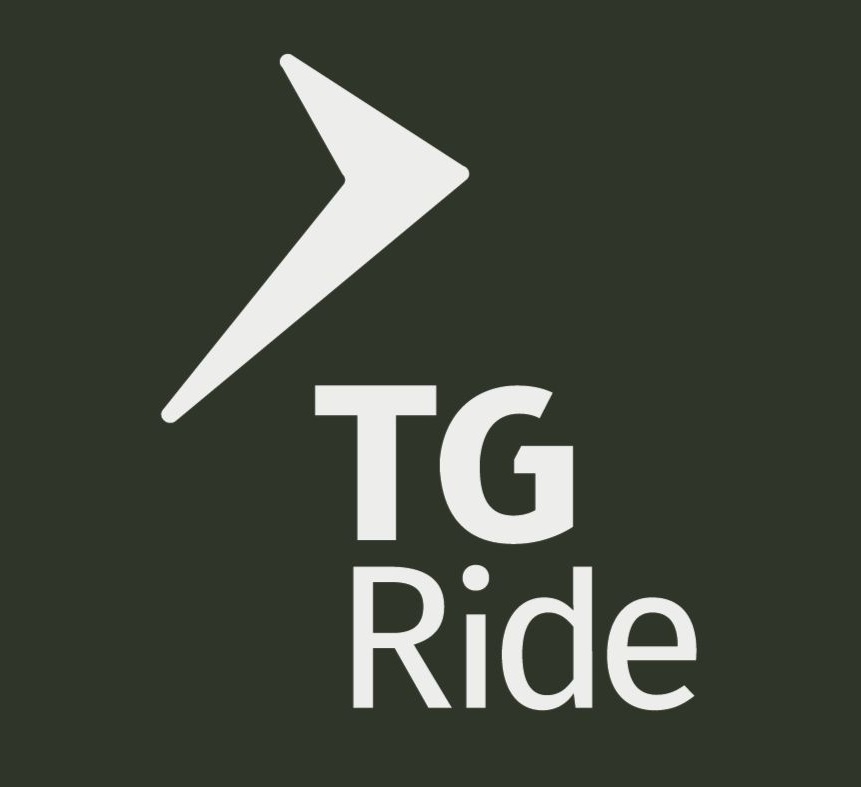 tgride taller electromecanico autos electricos e hibridos